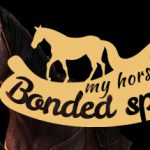 我的马：精神纽带（My Horse: Bonded Spirits）免安装中文版