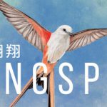 展翅翱翔 v1.7.1146 全DLC（WINGSPAN）免安装中文版