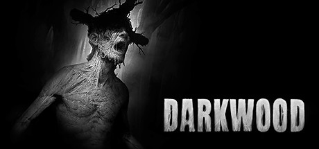 阴暗森林 v1.4.2（darkwood）免安装中文版