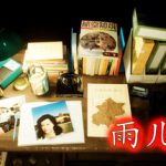 孙美琪疑案合集 免安装中文版