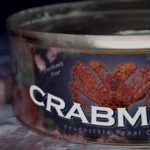蟹肉 Build.23793410（Crabmeat）免安装中文版
